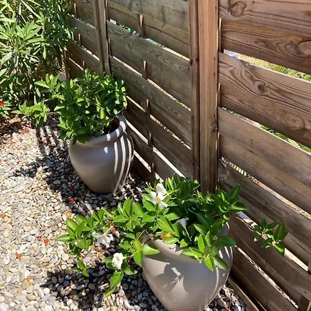 Lone Star House B&B 4*