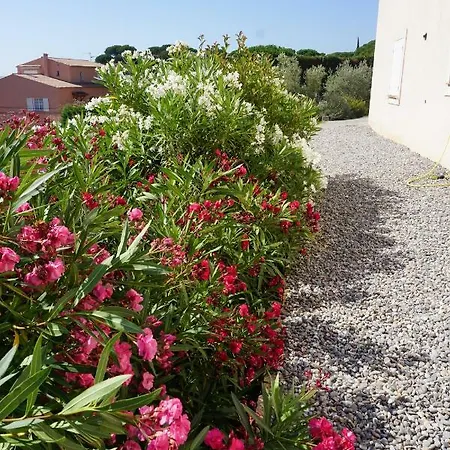Lone Star House Sainte-Maxime