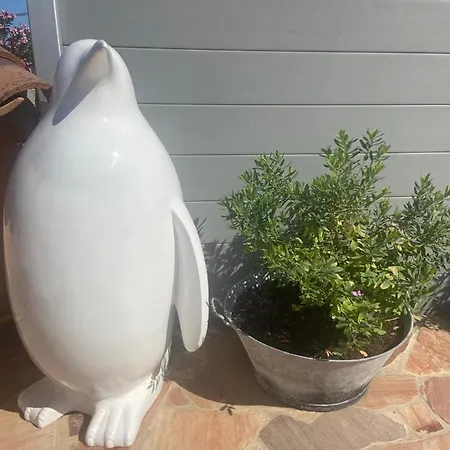 Lone Star House Bed & Breakfast