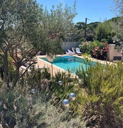 Lone Star House סן-מקסים