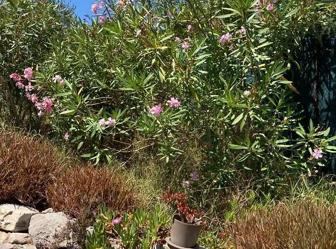 Lone Star House לינה וארוחת בוקר 4*