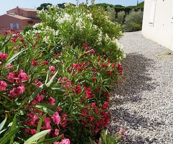 Lone Star House סן-מקסים